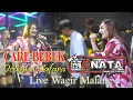 CARE BEBEK - DEVIANA SAFARA - NEW MONATA - DHEHAN AUDIO - LIVE DESA PANDANREJO  - WAGIR MALANG