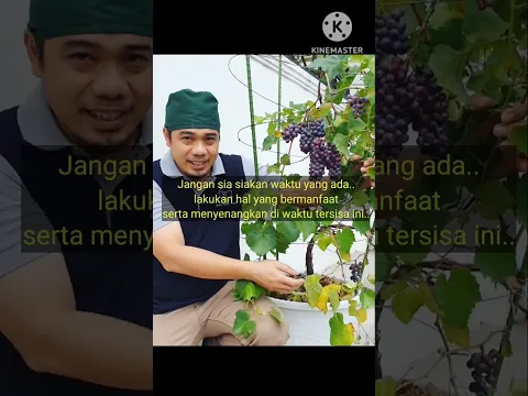 Buku Praktis Berkebun di Halaman Tumah, info dan pemesanan :  +6281262249915 / 081262249915