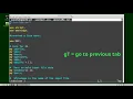 Vim 25 Window Tabs