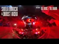 Download Lagu Dmust Akira \u0026 Sheila Marcia - Bass House, Tech House, Baile | SOCI | Future Organic : Till Dawn
