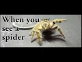Pennywise Vs Spider Gif