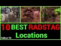 10 Best RADSTAG Locations