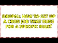 Drupal How to set up a cron job that runs for a specific rule 3 Solutions