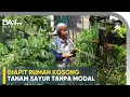 Berkebun untuk Kesehatan Mental