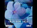 Summer (In Bloom 2024)