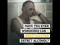 How Long Can a Breathalyzer Detect Alcohol and Why You Can t Beat It
