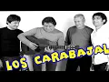 soy piedra y ráiz