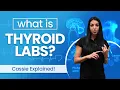 Understanding Thyroid Levels and Optimal Ranges Dr Cassie Smith
