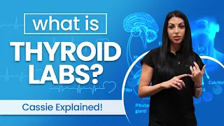 Understanding Thyroid Levels and Optimal Ranges Dr Cassie Smith
