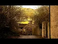 Pyotr Tchaikovsky: Andante cantabile (arr. cello) from String Quartet No. 1, Op. 11