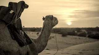 طريق الهجرة النبوية 