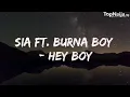 Download Lagu Sia ft. Burna Boy - Hey boy (Lyrics Video)