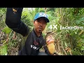 Download Lagu Pemancing liar yang sangat beruntung spot mancing ikan betok rawa #SG-63