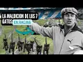 The Racing 7 dead cats