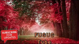 Fandishe Mul Ata Sirboota Durii Jaalatamo Dhabaman Keessa  Fandishe Mul Ata Sirboota Durii Jaalatamo Dhabaman Keessa