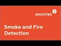 Smoke and Fire Detection