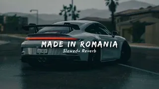                                     دندنها