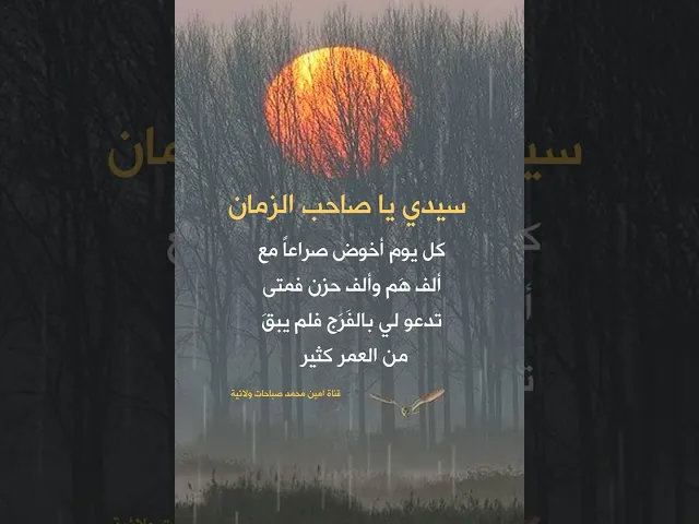 ⁣ياصاحب الزمان 💔 كل يوم أخوض صراعاً مع ألف هَم وألف حزن فمتى تدعو لي بالفَرَج فلم يبقَ من العمر كثير