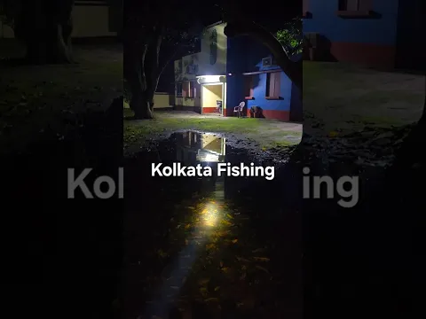 Kolkata Fishing Night