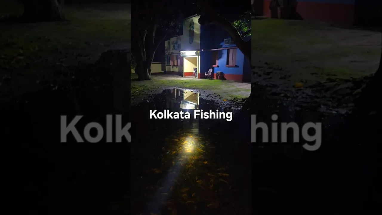 Kolkata Fishing Night