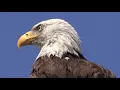 VaShawn Mitchell - Wind of God (Official Music Video)