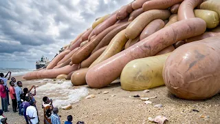 75 Strange Things Happening Around the World Right Now