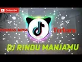 DJ THOMAS ARYA  RINDU MANJA MU 2024