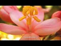 อยากจะมีเธอ - ป้อม เกริกศักดิ์  (พ.ศ.2539)