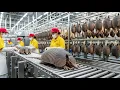 Inside the Armadillo-Shell Factory: From Armor Plates to Luxury Goods (Full Process)