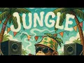 Download Lagu [ Drum And Bass Reggae 2025 ] LaChips : Monkey Wave