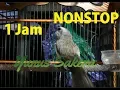 Download Lagu Trucukan GACOR ROPEL PANJANG | Pancingan Durasi 1 JAM | MASTERAN 2020