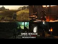 Exploring the World of Dark Souls II Second Sin