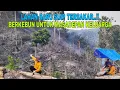 Download Lagu LAHAN BARU SIAP TERBAKAR..!! BERKEBUN UNTUK MASADEPAN KELUARGA