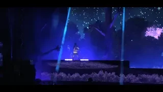 Tyler The Creator - Camp Flog Gnaw 2018 Full Set
