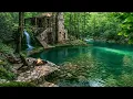 A Quiet Waterside Cabin That Feels Like a Pause from Life 🌿 Birds & Calm Nature Sounds