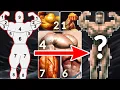 I Photoshopped The ULTIMATE Physique - Chest Arnold