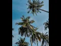 Download Lagu Summer Breeze – AuralFlux