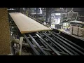 How Plywood is Made A Veneer Mill Tour
