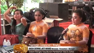 Download nada dering jatiwangi live suluk mojo MP3