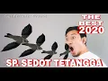 Download Lagu SP. SEDOT TETANGGA 2020 || THE BEST SWIFTLEFT SOUND Mahar 22 JT Bikin Walet Takluk