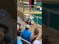 Download Lagu It started as a selfie… 🤣 #seaworldmime #tomthemime #shorts #funny