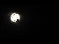 Download Lagu (background video) suasana malam yang sunyi.