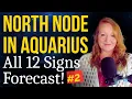 North Node into Aquarius Your 18 Month Journey What It Means for ALL 12 SIGNS