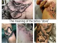The meaning of the tattoo dove facts about drawing and photo examples for the site tattoovalue net