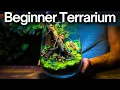 How To Make a Terrarium - Beginner Friendly Tutorial