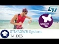STM32WB OLT - 14 System DeviceElectronicSignature