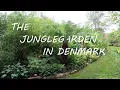 Download Lagu The Jungle Garden - Episode 22 | garden tour August 2023