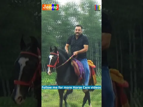 Ghodon ki life barbad na kare..#horses #horsetips #horselover