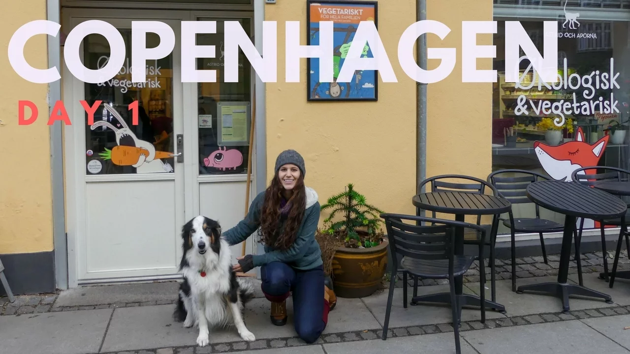 Day One In Copenhagen   What I Ate + Shopping