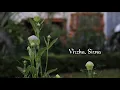 Download Lagu Virzha Sirna #Lirik #Music #Trending #Viral
